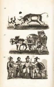 The Enraged Ox, the Dustman och tagandet av Guy Fawkes