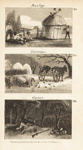 Handlar i Norfolk, Regency England