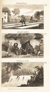 Handlar i Regency Ireland: blekning, irländsk stuga och laxsprång av Isaac Taylor
