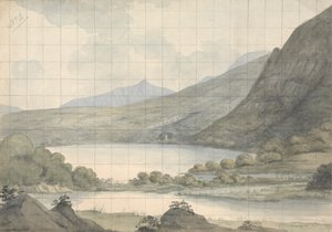 Turk Lake tittar över floden och Brikeen Island (Irland)