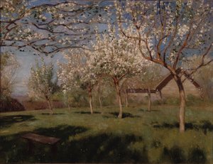 Äppelträd som blommar