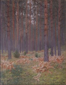 Ormbunkar, 1894