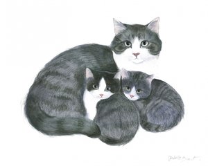 Katt och två kattungar