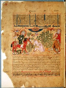 Ms. Arabe 2964 fol.19 Doktorn Anoromachus som botar sin bror som blivit biten av en orm, från Treatise of Theriac efter Galien, 1217 av Islamic School