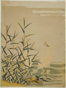 Egrets i vassen av Isoda Koryusai