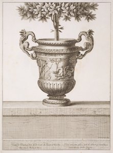 Bronsurnor som används för citrusträd, illustration från 