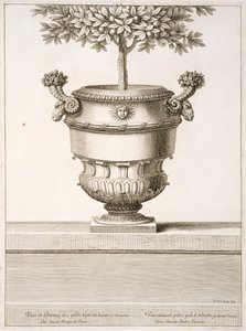 Bronsurnor som används för citrusträd, illustration från 