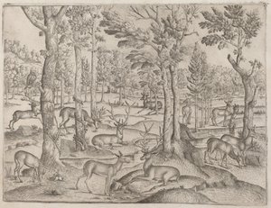 Rådjur i skogen av Italian 16th Century