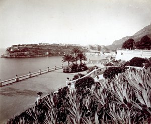 Panorama av Montecarlo. I förgrunden tät vegetation av agaveväxter och kaktus av Italian Photographer