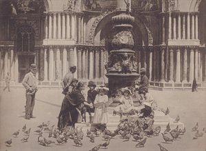 Piccioni (s/v foto) av Italian Photographer
