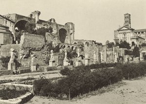 Forum Romanum, Konstantinbasilikan, Romulustemplet och Vestaljungfrurnas hus av Italian Photographer