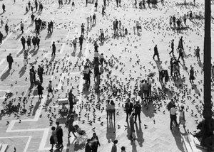 Utsikt över folkmassorna på Piazza San Marco, Venedig, ca 1965 (s/v foto) av Italian Photographer