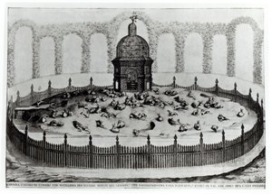 En kanin med voljär för småfåglar, från Le Fabbriche e i Giardini dellEcc. Casa Barbariga, av D. Rossetti, graverad av G. Campana, publicerad 1702 av Italian School