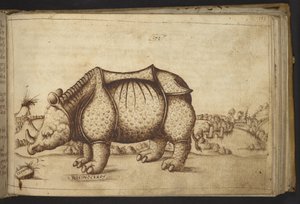 Lägg till. 82955, f.172 Noshörning., från Historia Animalium av Italian School