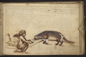 Lägg till. 82955, f.193   Kerub och en varelse.  , från Historia Animalium, (bestående av 245 ritningar med penna och bläck av olika djurarter och mytiska varelser, var och en åtföljd av en beskrivning.)    1595 av Italian School