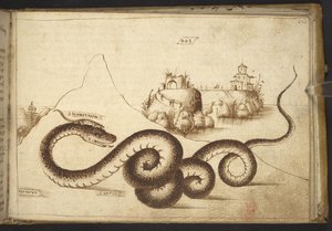 Lägg till. 82955, f.242 En orm (