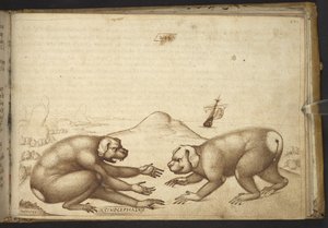 Lägg till. 82955, f.244 Hundliknande varelser som slåss (