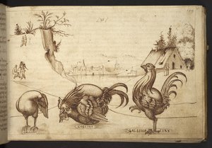 Lägg till. 82955, f.37   Kycklingar (