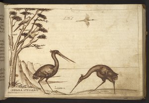 Lägg till. 82955, f.70   Heron (