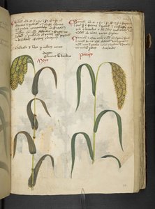 Lägg till MS 41623 f.117r 