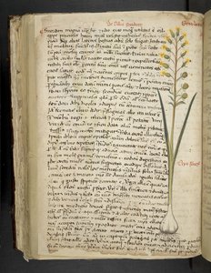 Lägg till MS 41623 f.119v 