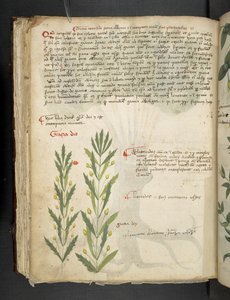 Lägg till MS 41623 f.39v 