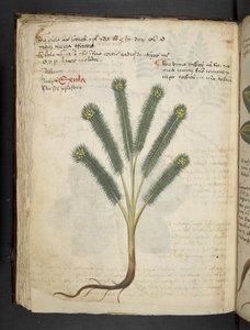 Lägg till MS 41623 f.39v 
