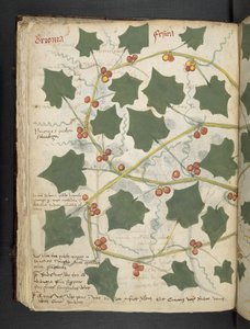 Lägg till MS 41623 f.53v 