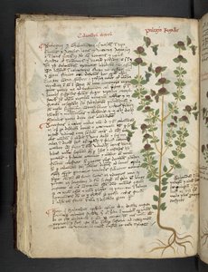 Lägg till MS 41623 f.54v 