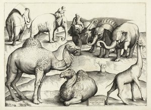 Djurmålningar från antikens Rom, bord, 3., pub. Antonio Lafrere 1528 av Italian School