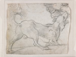 skällande hund, sedd bakifrån (svart krita) av Italian School