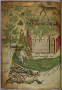 Botanisk illustration och djurillustration av växter, en muromgärdad trädgård, en varg, en man som fiskar i en bäck med nät och en gam som pickar på ett djurkadaver, ca 1440 (bläck och färg på pergament) av Italian School