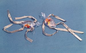 Kopia av två medicinska termometrar från Museo di Storia della Scienza i Florens (glas & band)