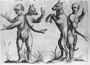 Olika typer av mänskliga monster: två varelser med dubbla kroppar, hälften man och hund (siames). Gravyr från "Monstrens natur, deras orsaker och skillnader" av Fortunio Whilei (1577-1656), italiensk vetenskapsman. 1646 av Italian School