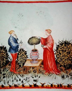 Fol.39v Samling av Basilicum Curatum, illustration från 