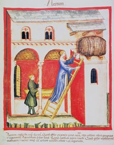 Fol.85v Vinäger, illustration från Tacuinum Santiatis Codex Vindobonensis av Italian School