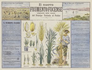 Det nya Fucense-vetet (färg litho) av Italian School
