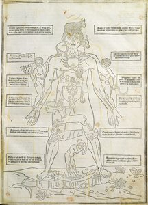 Illustration från 