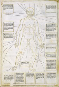 Illustration från "Fassiculus Medicinae" Venedig av Italian School
