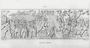 La Colonna Trajana, Trajanus kolumn (gravyr) av Italian School