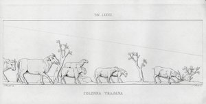Trajanus kolumn, Trajanus kolumn (gravyr) av Italian School