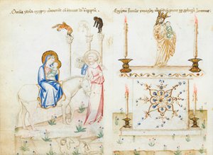 Ms 43-1950 fol.3v The Flight into Egypt, från Speculum Humanae Salvationis av Italian School