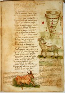 Ms Ital 483 P.4.7 f.156v Väduren och Oxen, från 