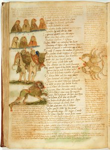 Ms Ital 483 P.4.7 f.156v Tvillingarna, Lejonet och Kräftan, från 