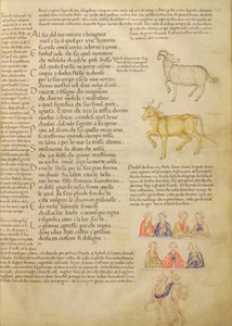 Ms Italien 87 fol.171 Sida som illustrerar astrologiska tecken, från 
