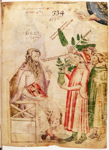 Ms Lat 6823 fol.1 Män som presenterar växter för en okänd man, från De Herbis av Manfredus de Monte Imperiali av Italian School