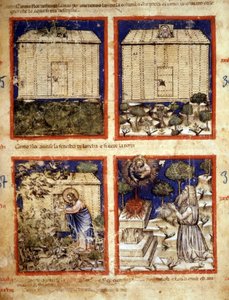 Noaks ark, miniatyr hämtad från codex 212 (eller Padovano Codice eller Bible of Padua) 1390-1400 Rovigo, Accademia dei Concordi av Italian School