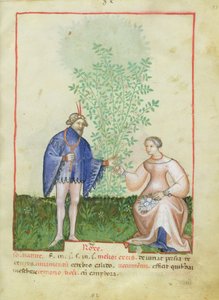 Nouv Acq Lat 1673 fol.83 Roses, från Tacuinum Sanitatis, c.1390-1400 av Italian School