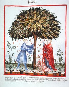 Nova 2644 fol.15v Gathering Jujubes, från Tacuinum Sanitatis Code Vindobonensis (på veläng) av Italian School