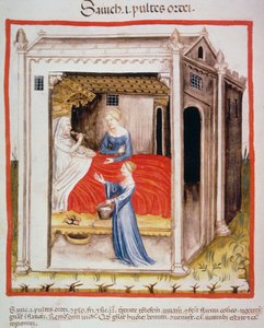 Nova 2644 fol.44v Smakande kornsoppa, från Tacuinum Sanitatis av Italian School
